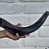 Cuerno De Shofar Kosher Kudu De Israel