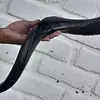 Cuerno De Shofar Kosher Kudu De Israel