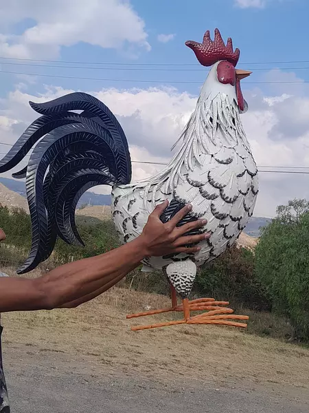 Gallo Supergigante