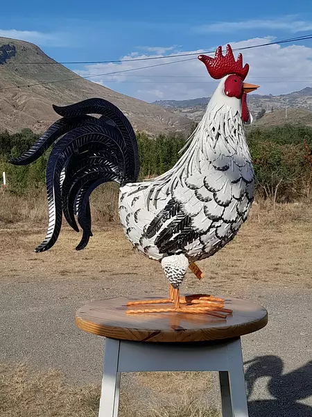 Gallo Supergigante