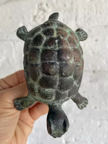 Aldaba En Forma De Tortuga