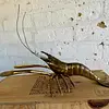 Camarón De Bronce - Taiwan 1970