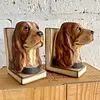 Tranca Libros Cabeza Perro Cocker Spaniel - Japón 1950