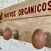 Perchero De Pared Con Ganchos En Forma De Huevo