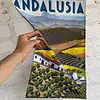 Pendón De Andalucía Con Olivares Y Viñedos