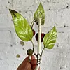 Cerezas Metálicas Con Gancho De Colgar - Italia 1980