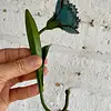 Clavel Metálico Con Gancho De Colgar - Italia 1980