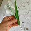 Orquídea Metálica Con Gancho De Colgar