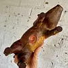 Cerdo De Cerámica