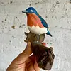 Pájaro Azulejo Sobre Tronco Natural - U.S.A. 2000