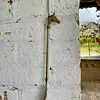 Calzador Mango Cabeza De Caballo - India 1930