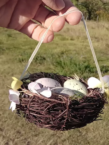 Nido Con 3 Huevos De Pascua