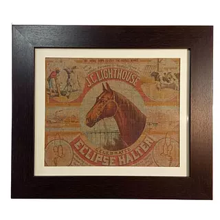 Cuadro De Caballo Impreso Sobre Lona - U.S.A.