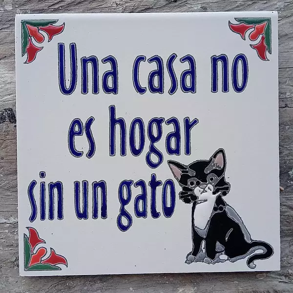 Baldosa Una Casa No Es Hogar Sin Un Gato