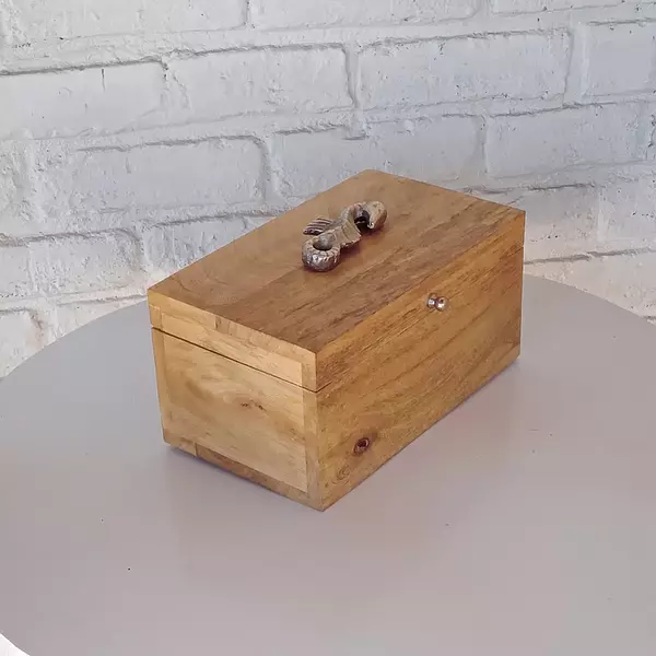 Caja Marina Pequeña Con Tapa