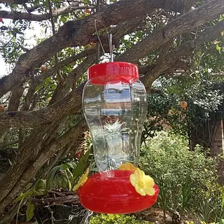 Bebedero Plástico Para Colibríes Compra Uno Se Le Envian Dos